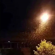 白蟻危害大，4-6月份進入其活躍期 防治白蟻不容忽視！