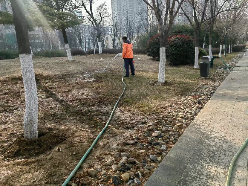 上網2